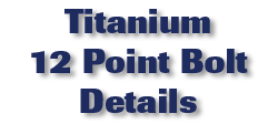 Titanium 12 Point Bolt Details