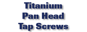 Titanium Pan Head Tap Screws