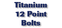 Titanium 12 Point Bolts