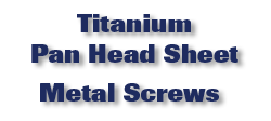 Titanium Pan Head Sheet Metal Screws